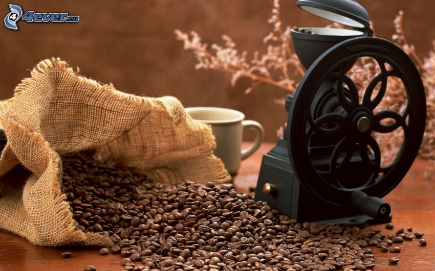 café en grains, moulin
