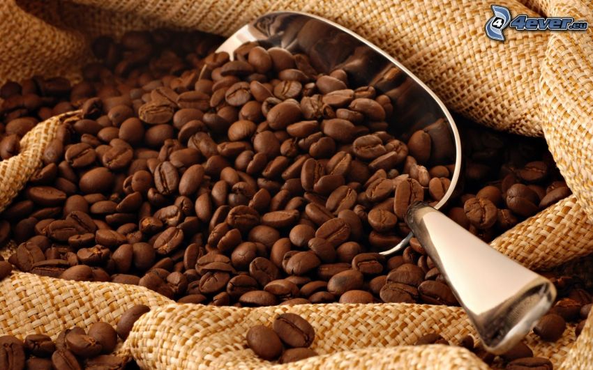 café en grains, pelle, sac
