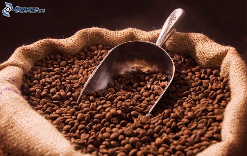 café en grains, sac, pelle