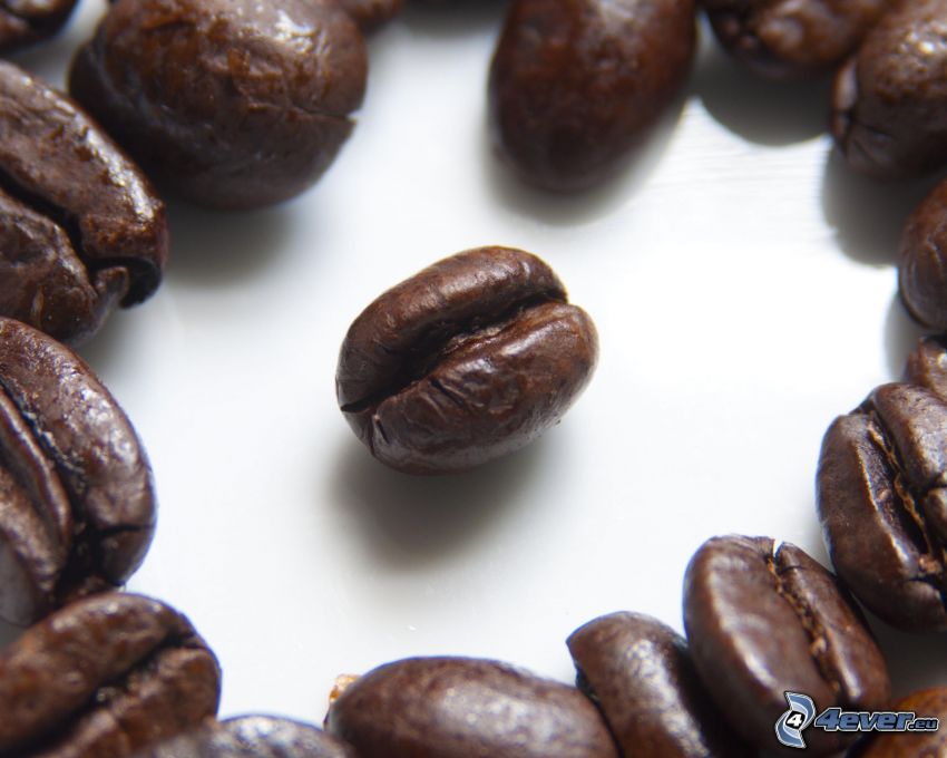 café en grains