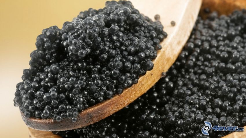 caviar, cuillère