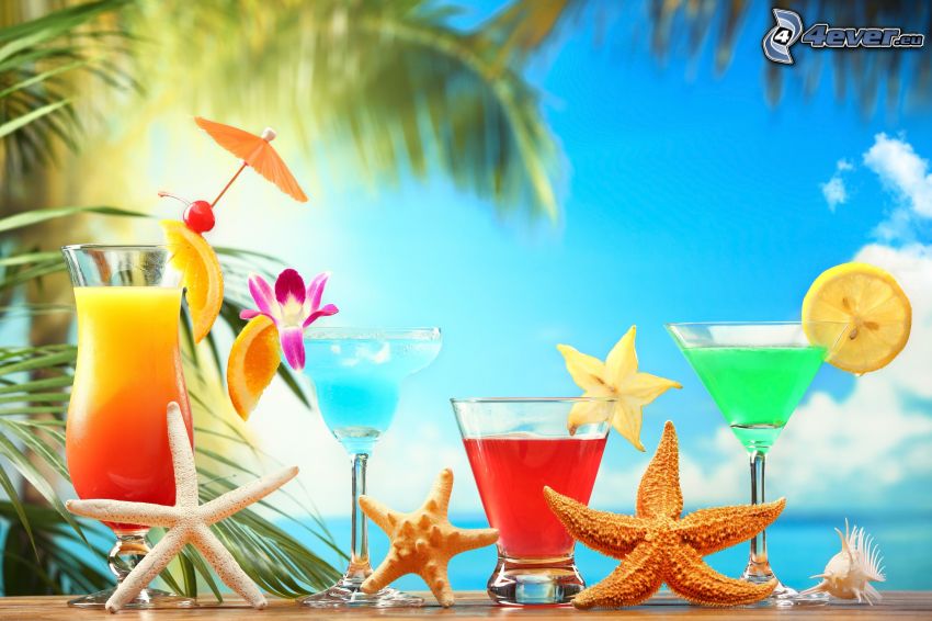 cocktail, étoiles de mer