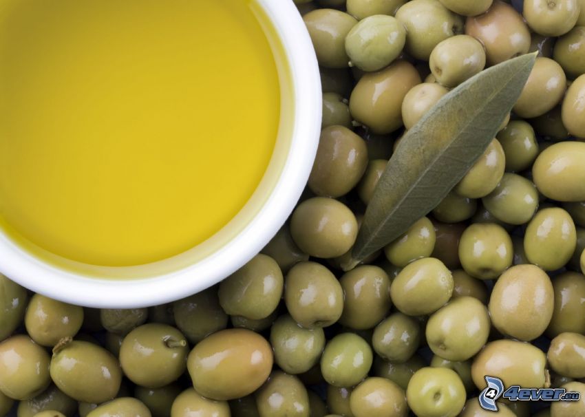 huile d'olive, olives, feuille