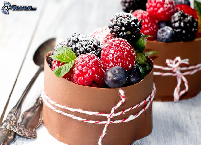 les fruits forestiers, chocolat