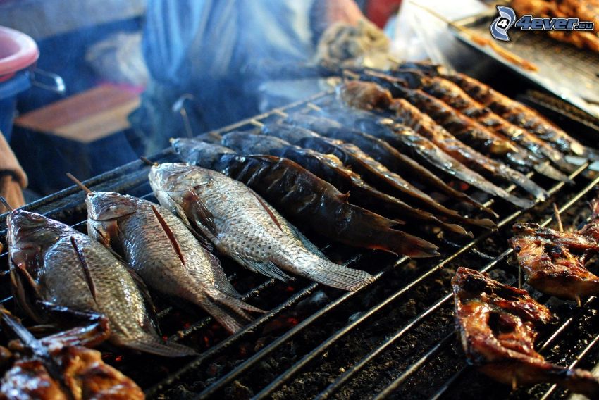 poissons, viande grillée