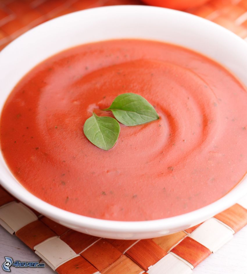 soupe à la tomate, basilic