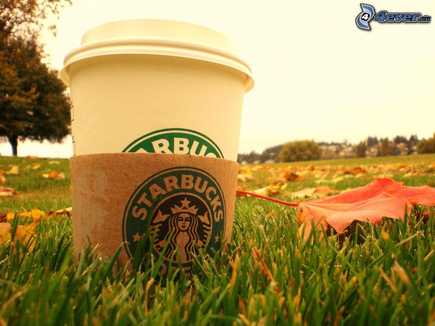 Starbucks, café, pelouse