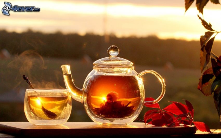 théière, tasse du thé, thé de floraison