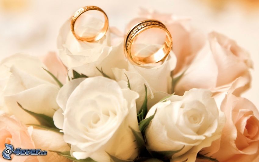 anneaux de mariage, roses blanches