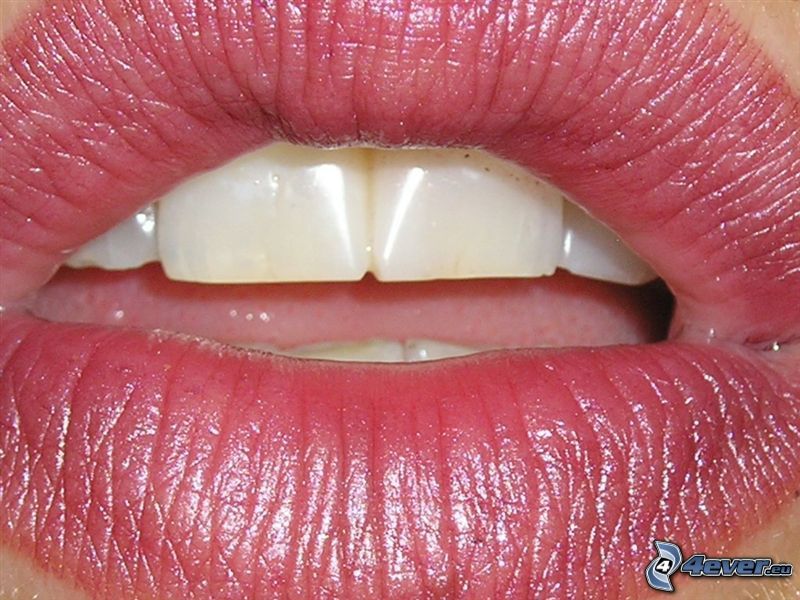 bouche, lèvres, des dents blanches