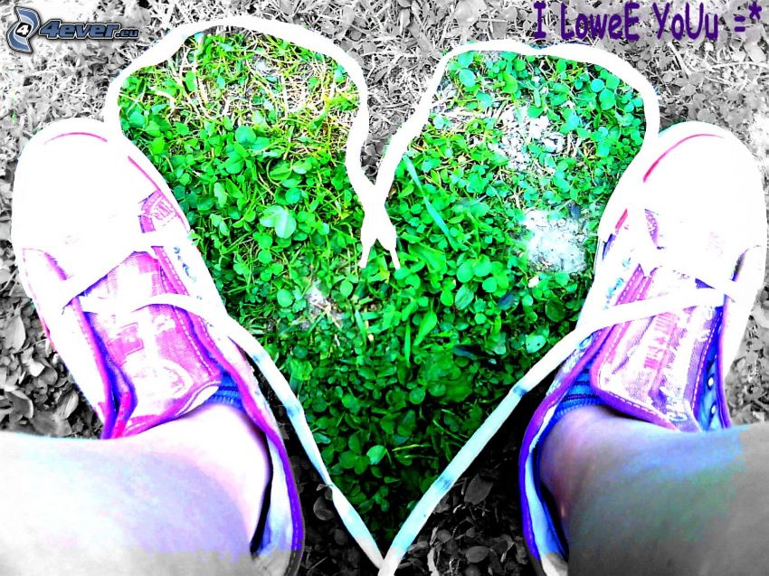cœur de lacets, quatre-feuilles, jambes