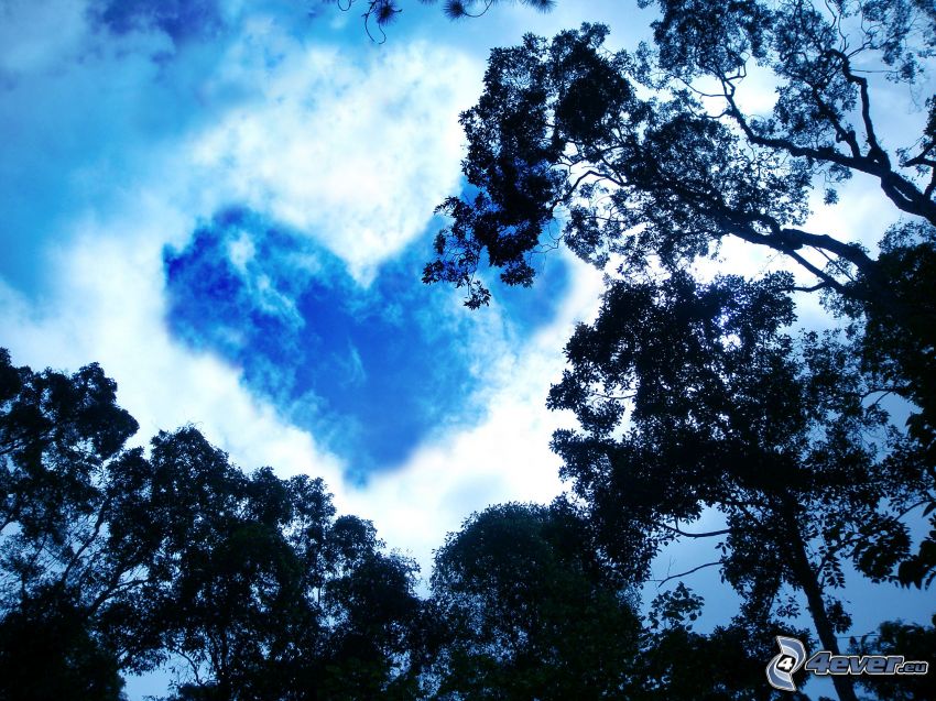 cœur dans le ciel, nuage, cœur, silhouettes d'arbres