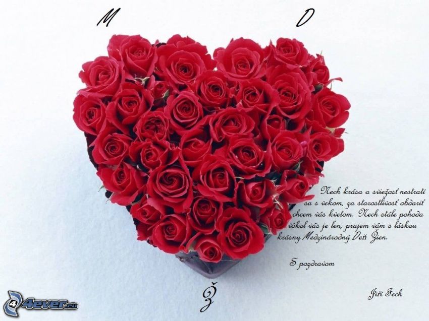 cœur des fleurs, roses rouges, Texte sur l'amour