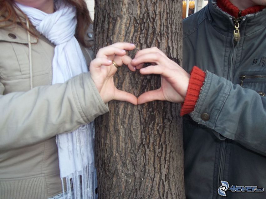 cœur des mains, couple et un arbre
