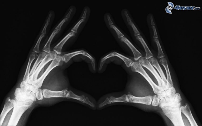 cœur des mains, squelette, os