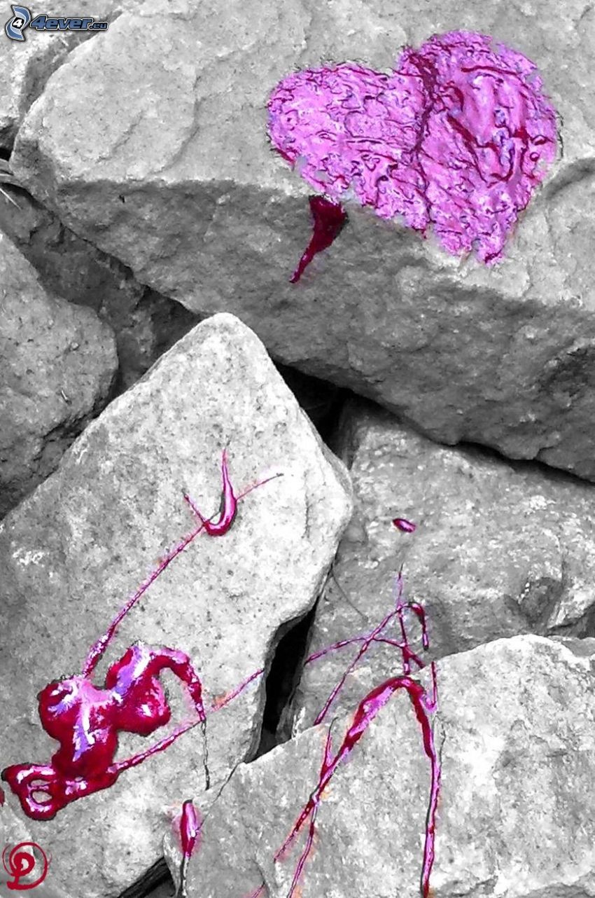 cœur violet, lilas, rocher