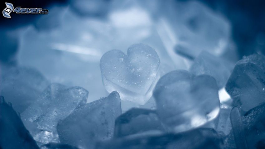 cœurs de glace