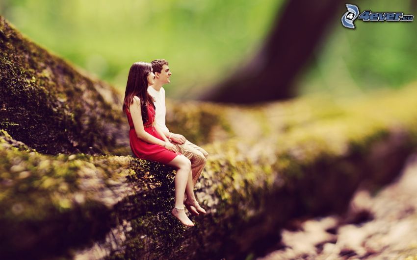couple, tronc, diorama