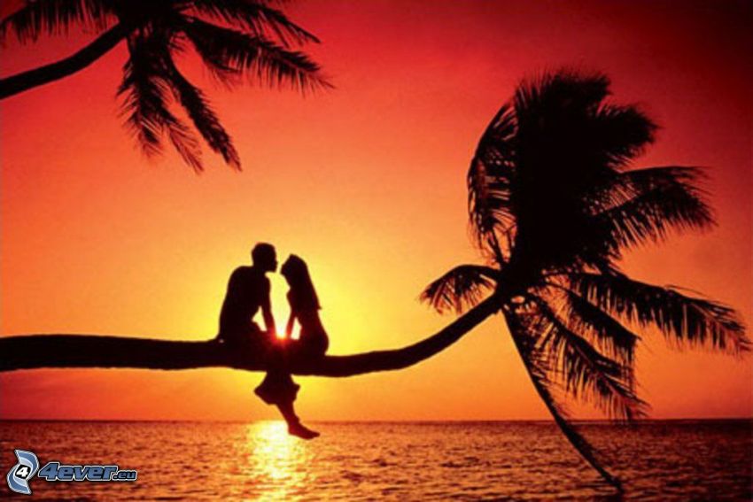 couple au coucher du soleil, palme sur la mer, silhouette du couple, coucher du soleil orange sur la mer