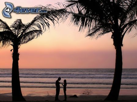 couple près de la mer, ciel, mer, palmiers sur la plage