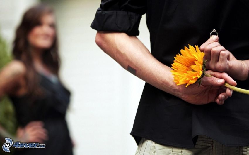 homme et femme, fleur jaune, anneau