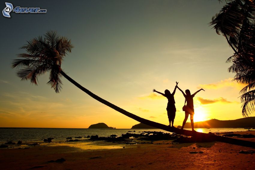 silhouette du couple, palmier sur la plage de sable, plage au couchage du soleil, mer