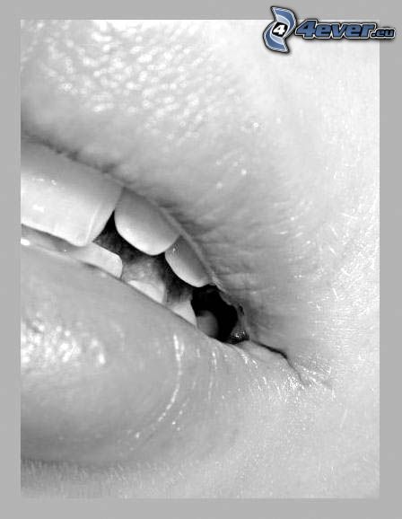 lèvres, bouche, dents