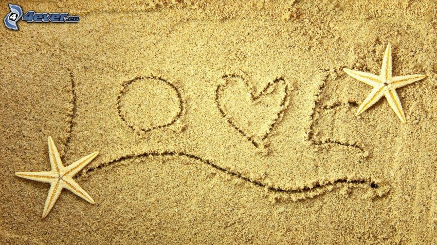 love, sable, étoile de mer