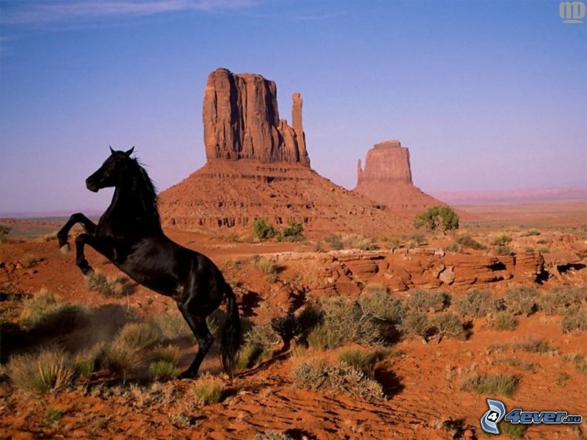 cheval noir, Monument Valley