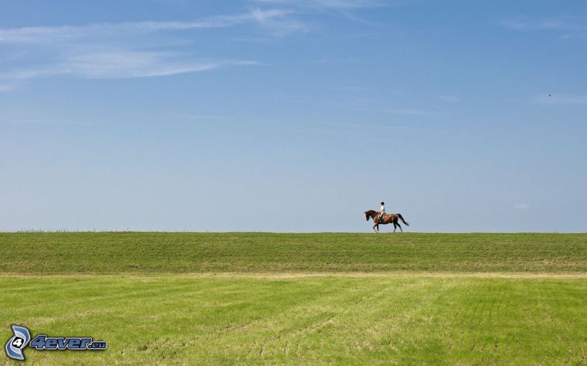 une femme à cheval, prairie, l'horizon