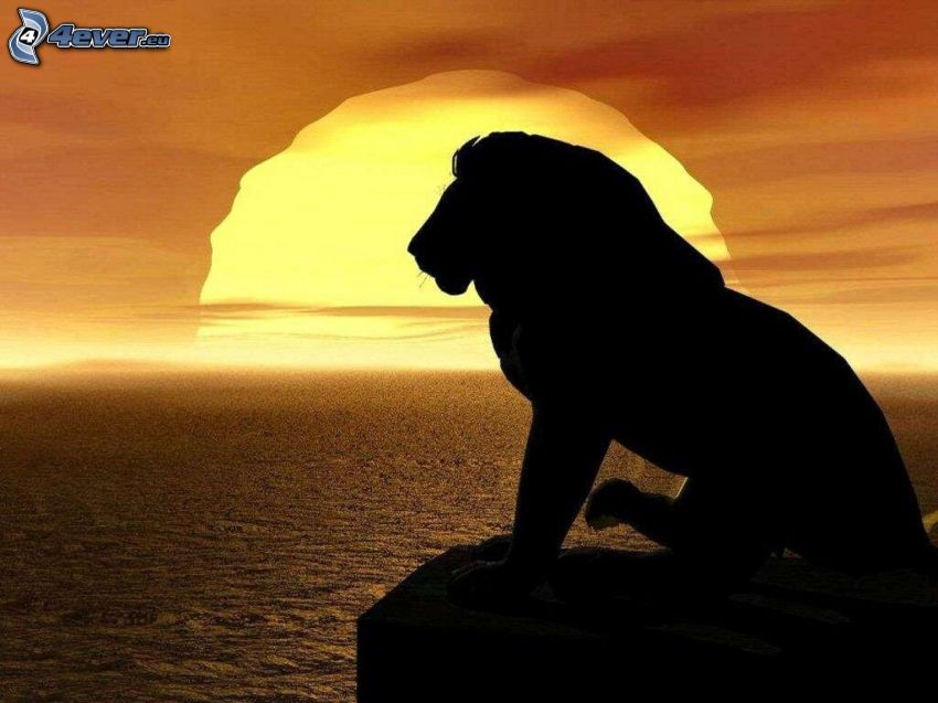 lion, silhouette, coucher du soleil, mer