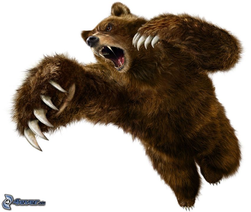 l'ours brun, attaque