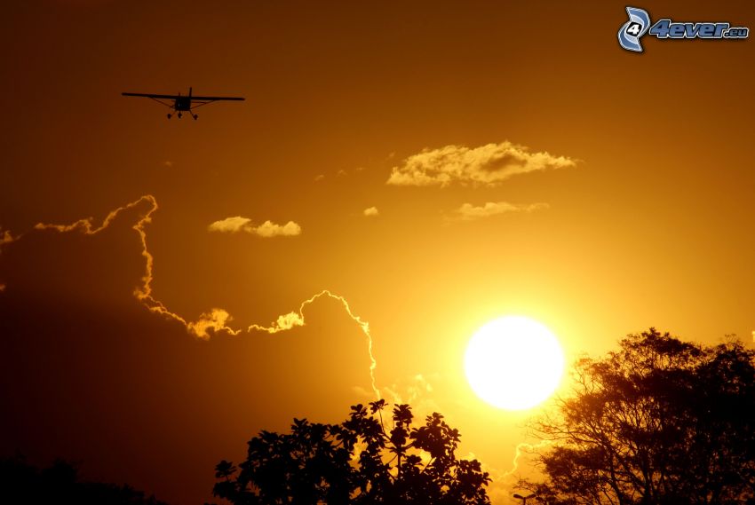 petit avion de sport, silhouette de l'avion, coucher du soleil, silhouettes d'arbres