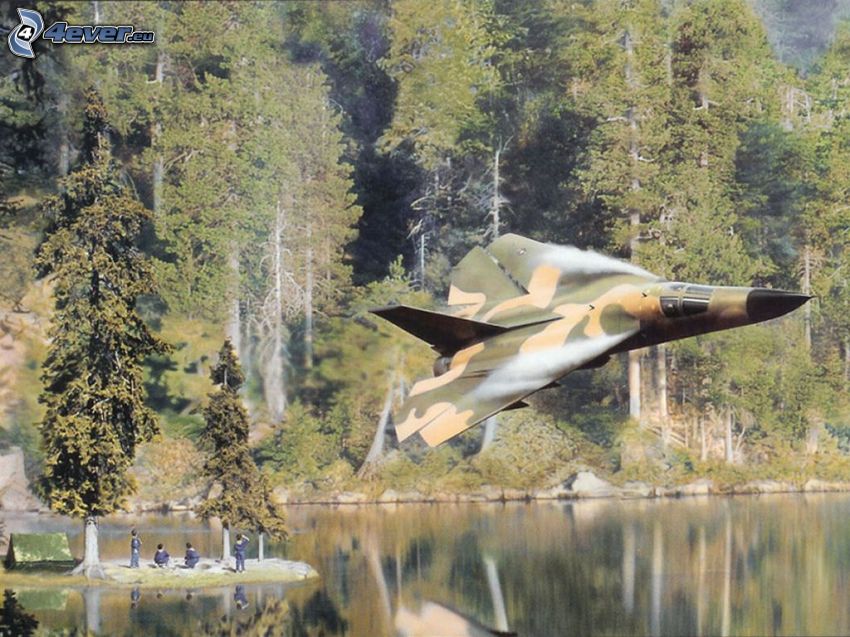 F-111 Aardvark, lac, forêt de conifères