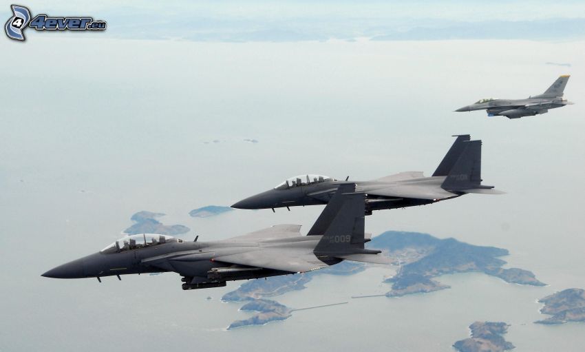 Flotte de F-15 Eagle