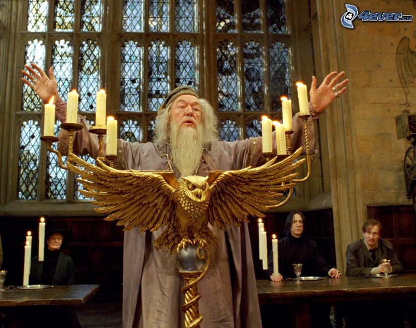 Albus Dumbledore, Harry Potter