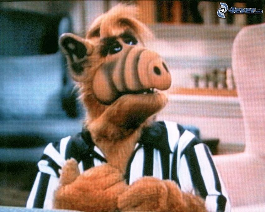 Alf