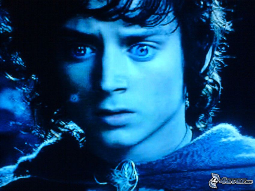 Frodo, Le Seigneur des anneaux, Bilbo le Hobbit