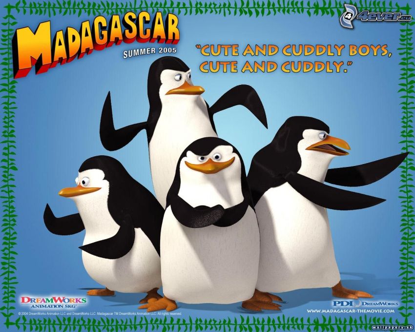 pingouins de Madagascar, conte