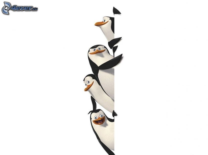 pingouins de Madagascar