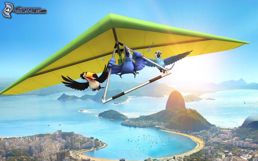 Rio, oiseaux, deltaplane, Rio De Janeiro, dessin animé