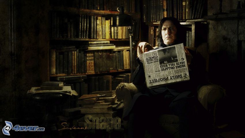 Severus Snape, Harry Potter