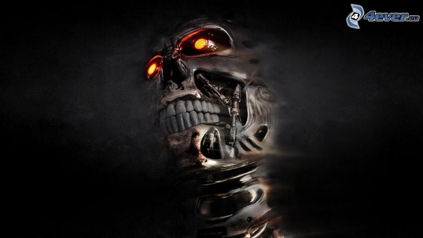 Terminator, crâne