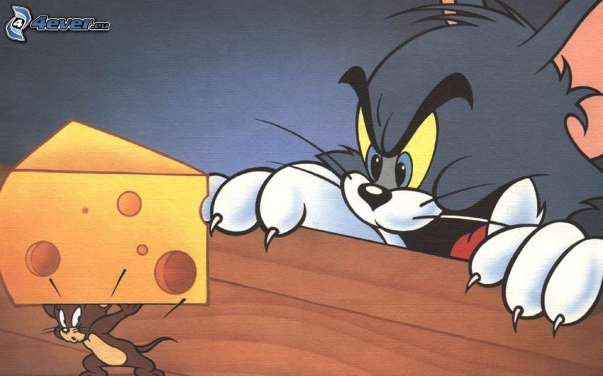 Tom et Jerry, fromage