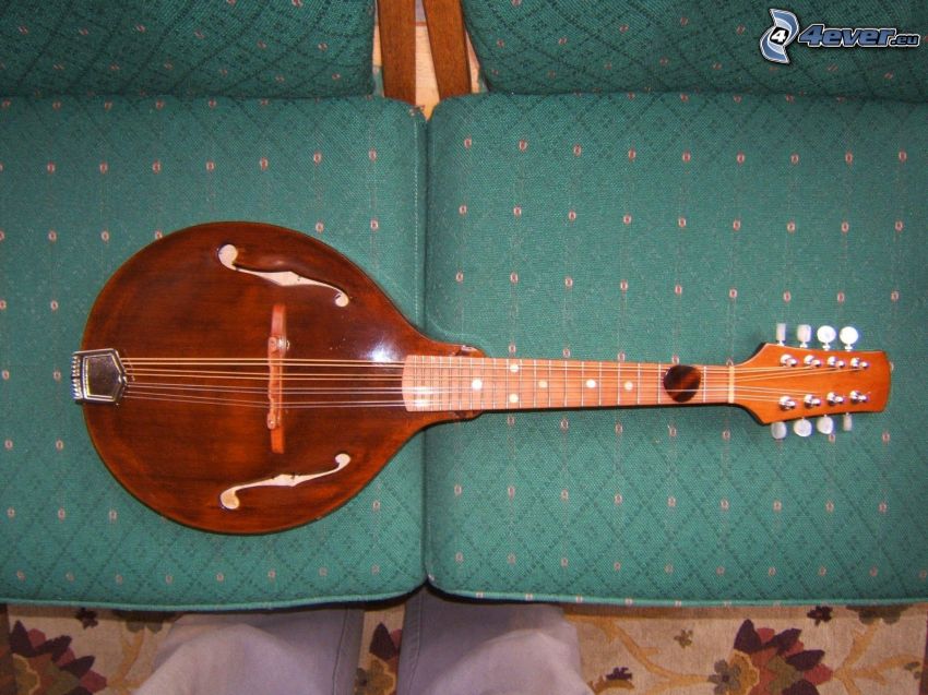 mandoline, canapé