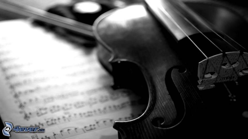 violon, notes, photo noir et blanc