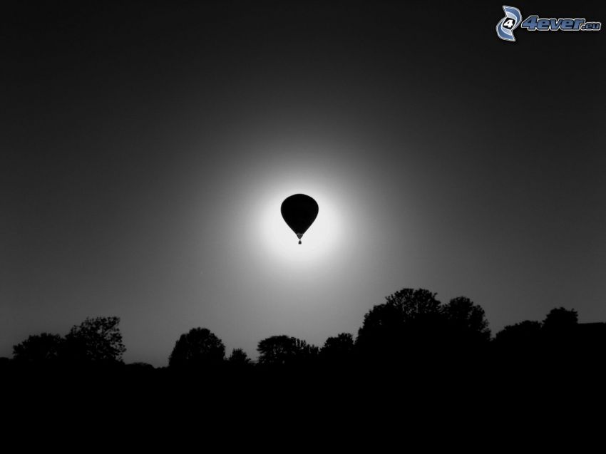 ballon, silhouettes d'arbres, éclipse