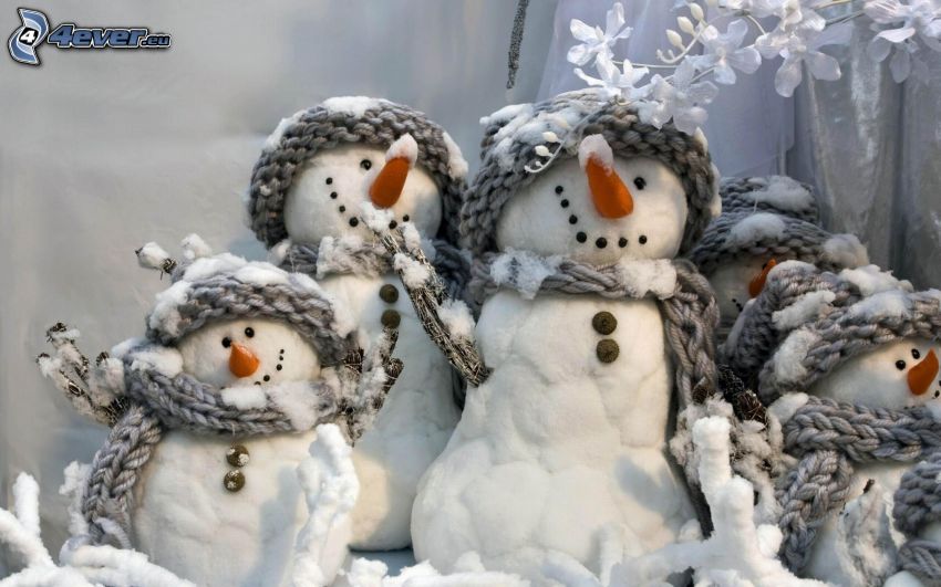 Bonhommes de neige, famille