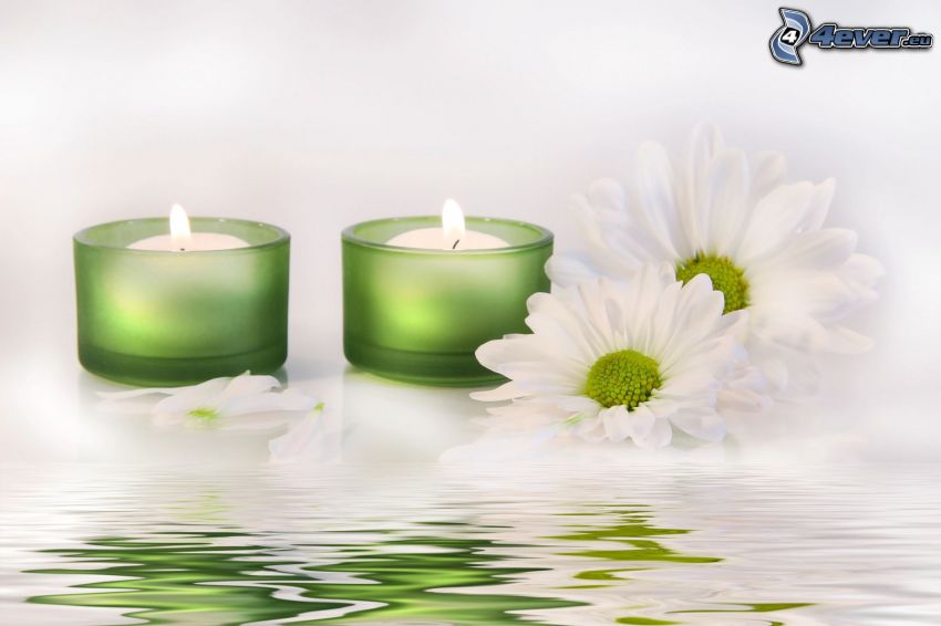 bougies, fleurs blanches, surface de l'eau
