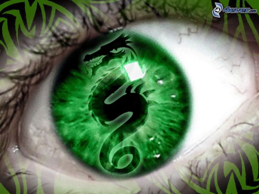 oeil vert, dragon noir